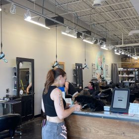 Hair stylist working on client at AOC Salon Virginia Beach with Freestylist weightless dryer positioned overhead
